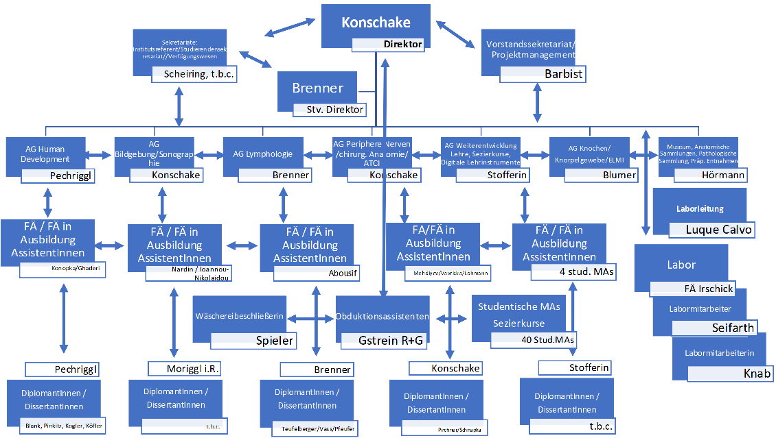 Arbeitsgruppen / Workflow