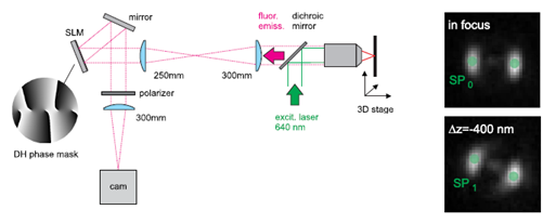 Resch-1