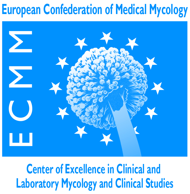 ECMM_logo-EXCELLENCE-CENTER-diamond