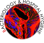 Homepage-Bild-Bacteriology-v2