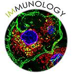 Homepage-Bild-Immunology-v2