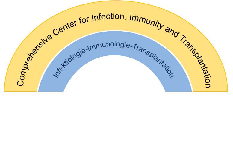 logo-CITT