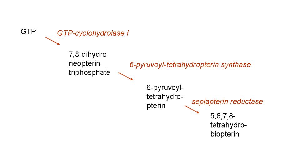 BH4-Biosynth