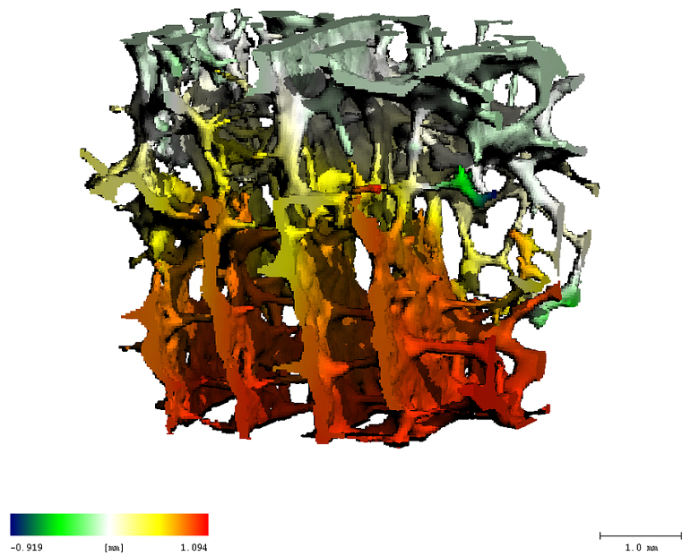 MicroCT_04.jpg