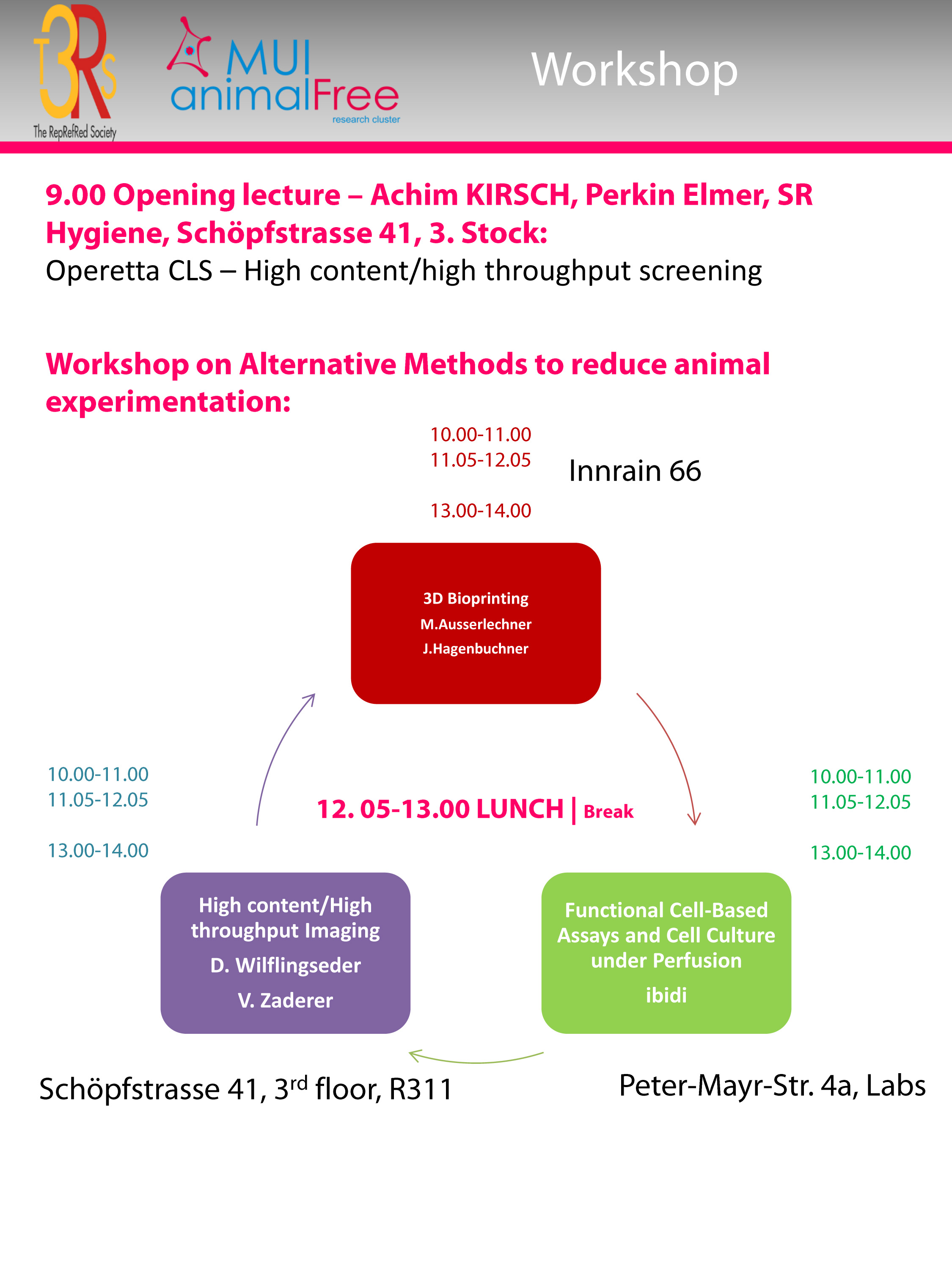 Program Workshop Flow