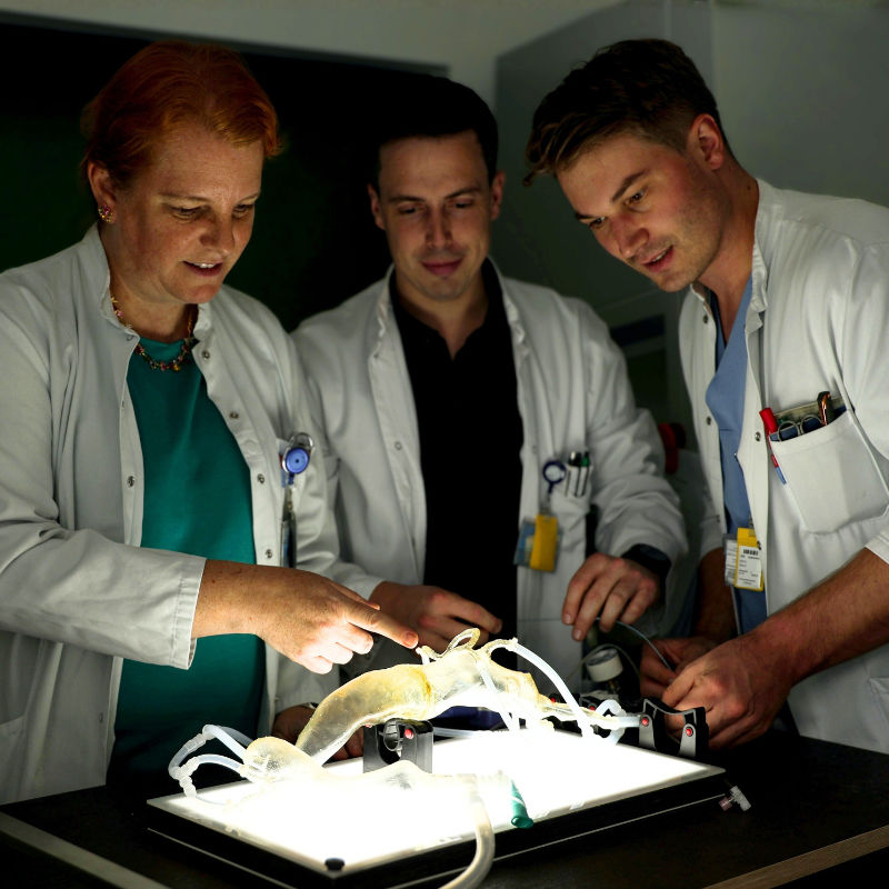 v.l. Sabine Wipper, Florian Enzmann und David Wippel, Foto © MUI/D. Bullock