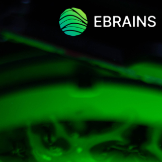 EBRAINS2.jpg