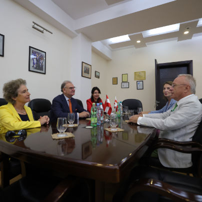 besuch_in_tiflis.jpg