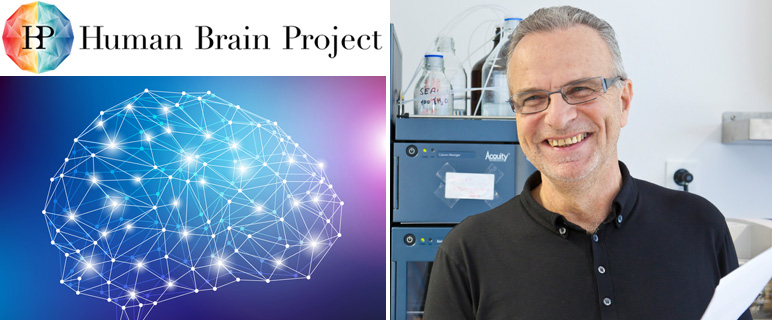 Alois Saria bleibt auch in der dritten Projektphase Projektleiter des Human Brain Project-Teilbereiches an der Medizinischen Universität Innsbruck. Foto: Fotolia_ mózg wektor, MUI/C_Lackner. 
