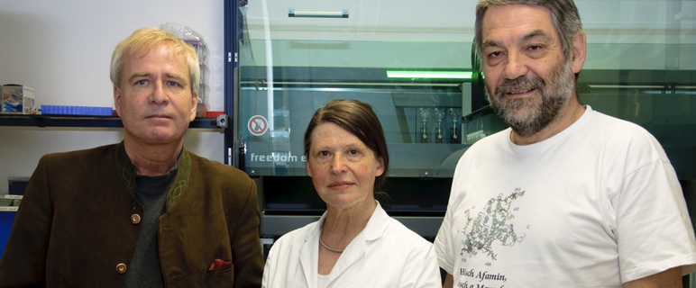 v. li nach re: Prof. Bernhard Rupp, Projektmitarbeiterin Linda Fineder (BMA), Prof. Hans Dieplinger.