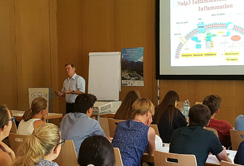Thema_Summerschool_Gruber.jpg