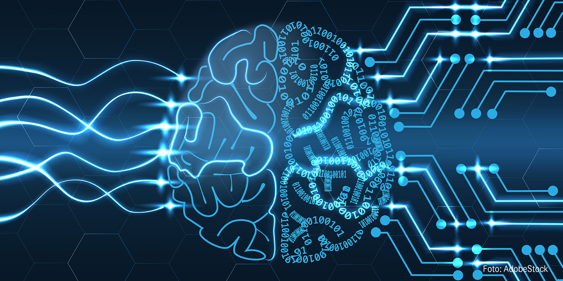 MedUni Innsbruck ist assoziierte Partnerin vom europäischen Netzwerk EBRAINS