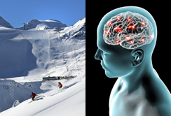 thema_Neuroscience_Winterconference2015.jpg
