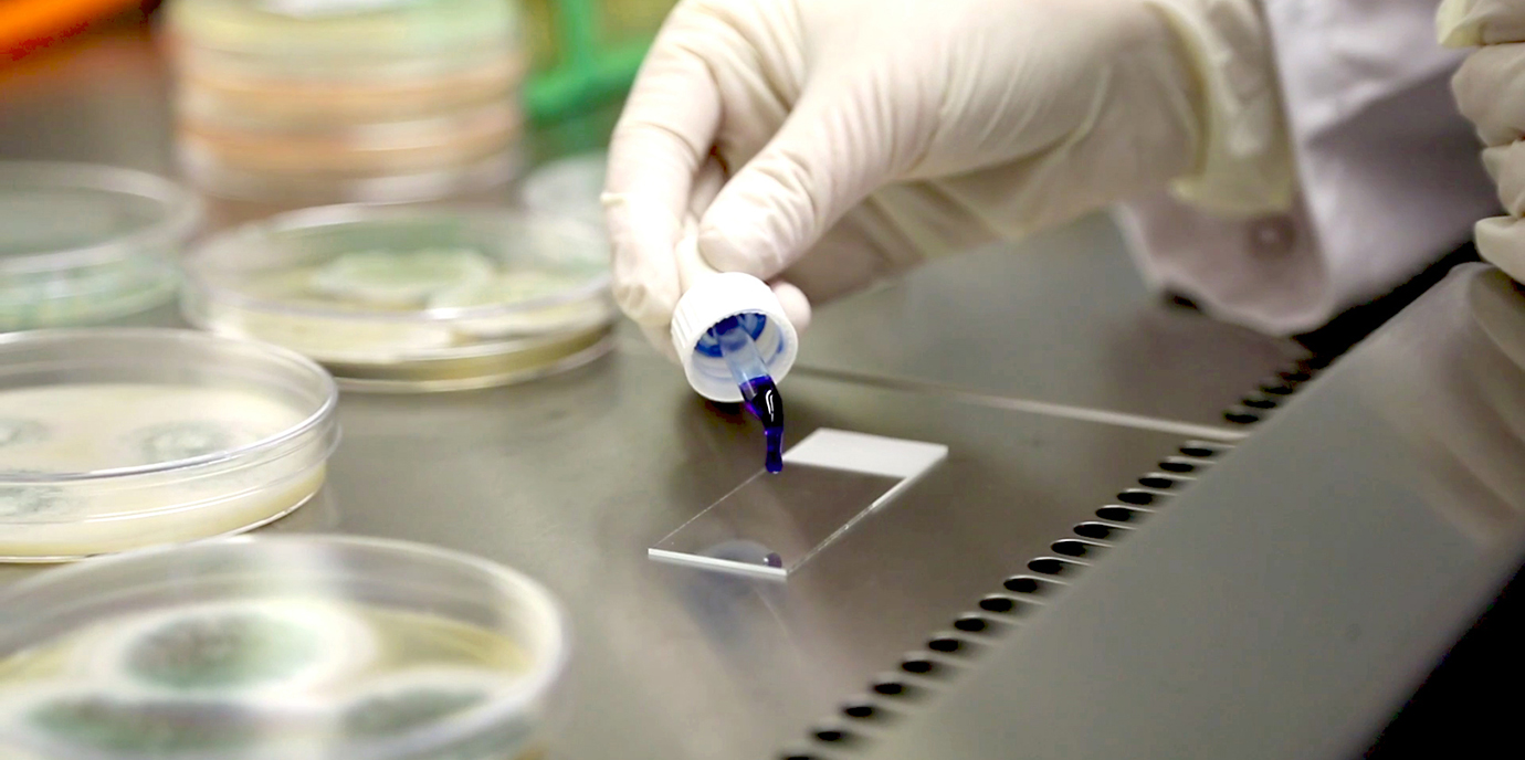 Land Tirol fördert innovative medizinische Forschung