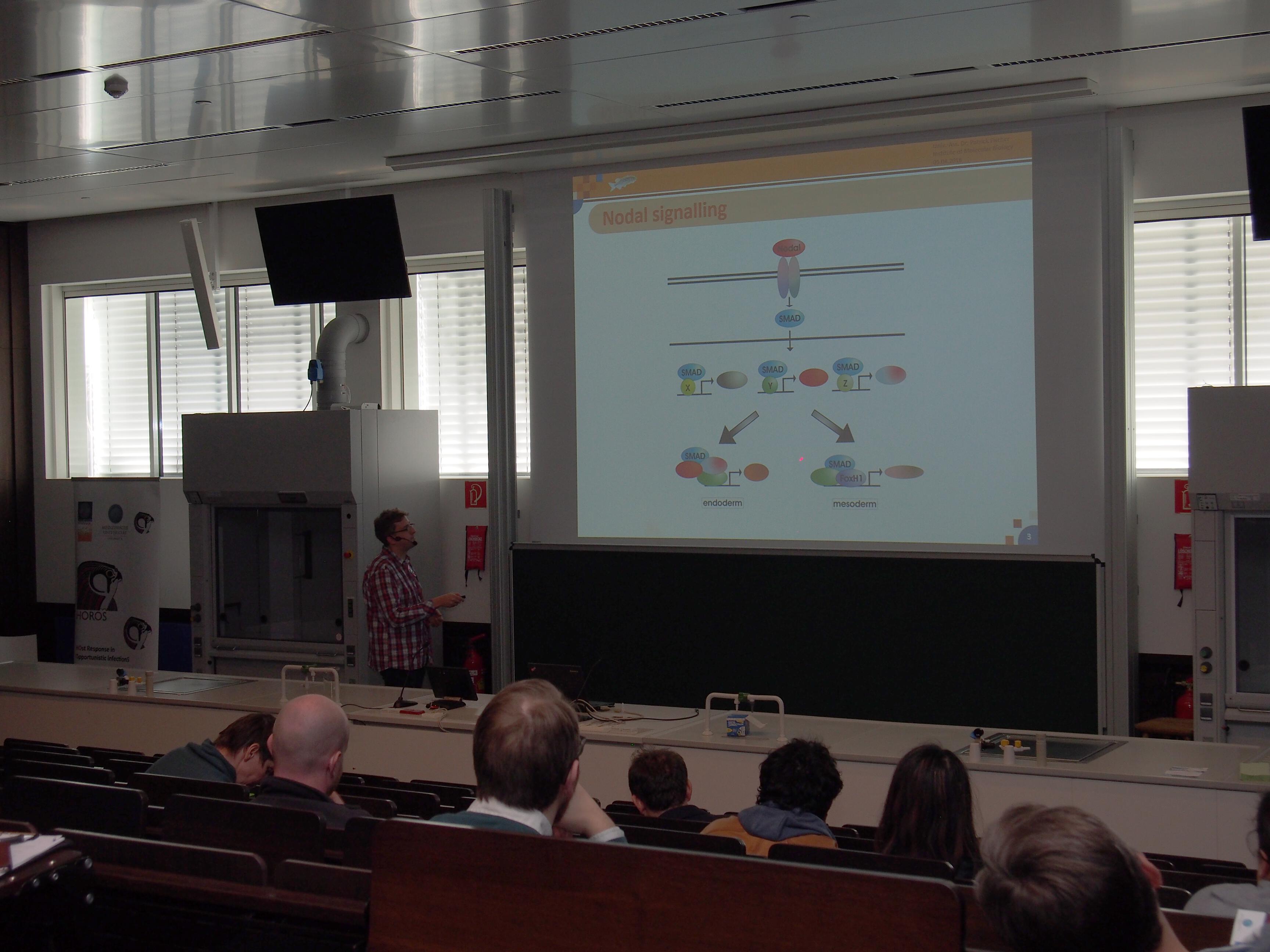 LifeSciencePhDMeetingInnsbruck2018_-(20)