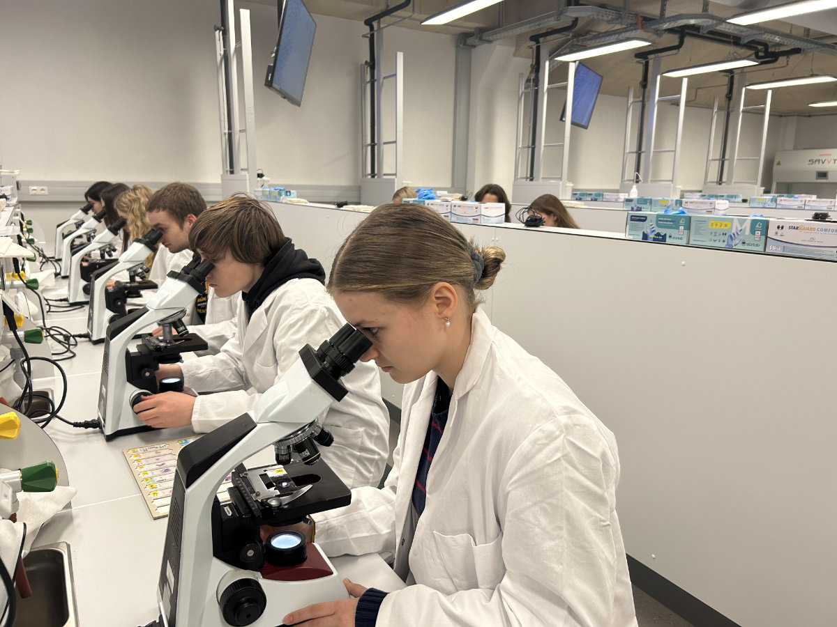 Schüler:innen führen im Labor Experimente durch