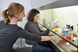 18012011_Sprouty_Proteine_Maria_Auer_Barbara_Hausott_small 18012011_Sprouty_Proteine_Maria_Auer_Barbara_Hausott_small