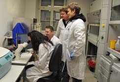 Prof.in Anneliese Schrott-Fischer mit ihren Mitarbeitern Mag. Christian Pritz, Dr. Rudolf Glückert und Dr. Jószef Dudás (v. l.)