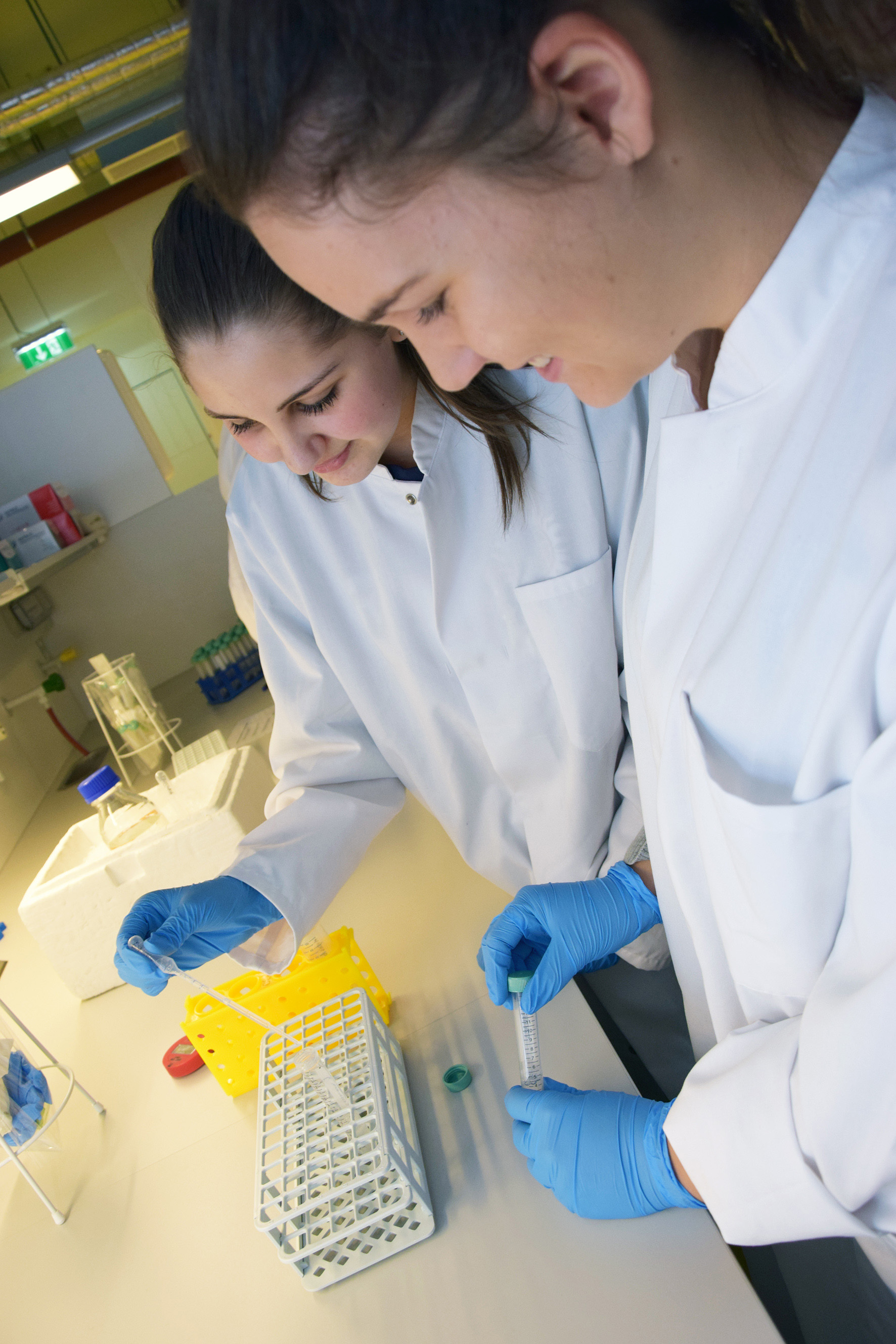 Foto2_OpenLabs_2016-cMUI_Bullock