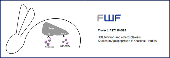 Abb-FWF-Grant-3