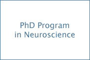 phd thesis neuroscience